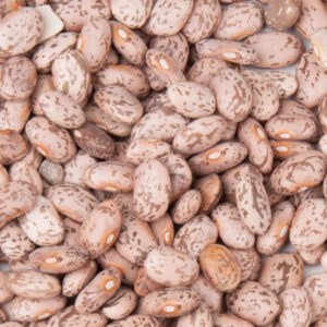 Pinto beans