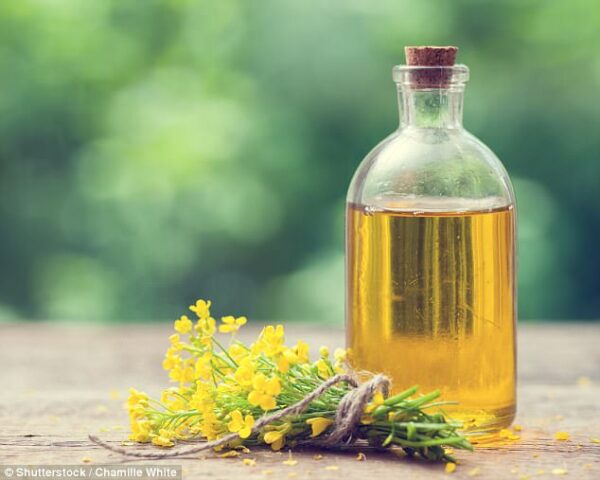 RAPESEED OIL