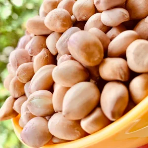 ⁠Peanuts (groundnuts)