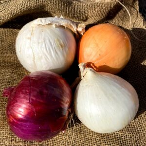 ⁠Red & White Onions