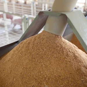 Soybean Meal