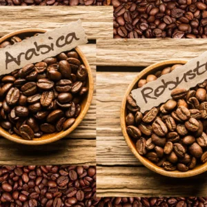 Coffee Beans (Arabica & Robusta)