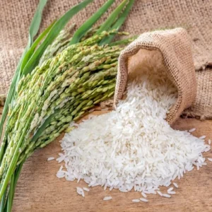 Rice