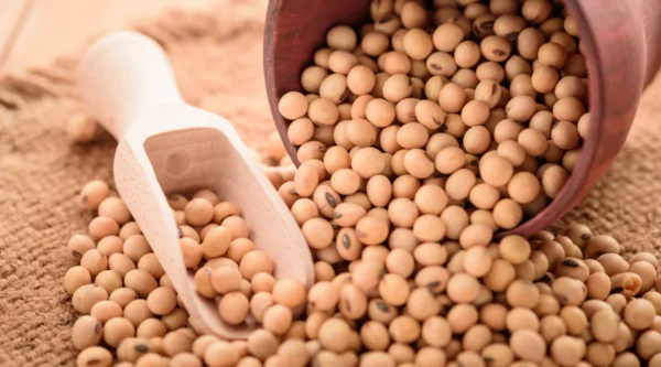 Soybeans